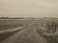 Gatter, Ende des Weges  Pentax K-1, SMC Pentax FA 1.9/43 Limited  - 17.12.2019 - : Landschaft, Rhein, Gatter, Weide, Hochwasser, Rheinwiesen, Fluss, Rheindeich