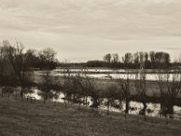 Überschwemmung  Pentax K-1, SMC Pentax FA 1.9/43 Limited  - 17.12.2019 - : Schiff, Landschaft, Bagger, Rhein, Hochwasser, Rheinwiesen, Fluss, Rheindeich