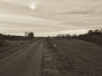 Weiter auf dem Rheindeich  Pentax K-1, SMC Pentax FA 1.9/43 Limited  - 17.12.2019 - : Landschaft, Rhein, Bäume, Hochwasser, Rheinwiesen, Fluss, Rheindeich