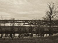 Flussbagger  Pentax K-1, SMC Pentax FA 1.9/43 Limited  - 17.12.2019 - : Schiff, Landschaft, Bagger, Rhein, Hochwasser, Rheinwiesen, Fluss, Rheindeich