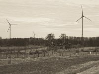 Windräder  Pentax K-1, SMC Pentax FA 1.9/43 Limited  - 17.12.2019 - : Bäume, Windräder, Landschaft