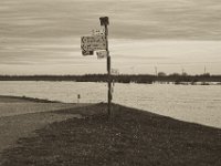 Wegweiser auf dem Deich  Pentax K-1, SMC Pentax FA 1.9/43 Limited  - 17.12.2019 - : Landschaft, Rhein, Wegweiser, Hochwasser, Rheinwiesen, Fluss, Rheindeich