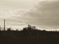 Kühlturmfahne  Pentax K-1, SMC Pentax FA 1.9/43 Limited  - 17.12.2019 - : Landschaft, Rheindeich, Rhein, Rheinwiesen, Kraftwerk