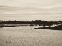 Blick auf Orsoy bei Rheinhochwasser  Pentax K-1, SMC Pentax FA 1.9/43 Limited  - 17.12.2019 -