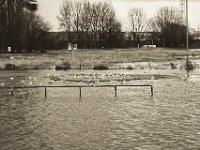 Möwen  Pentax K-1, SMC Pentax FA 1.9/43 Limited  - 17.12.2019 - : Landschaft, Fluss, Hochwasser, Rhein, Rheinwiesen, Rheindeich