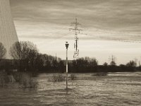 Möwe auf dem Signalschild  Pentax K-1, SMC Pentax FA 1.9/43 Limited  - 17.12.2019 - : Landschaft, Rhein, Hochwasser, Rheinwiesen, Fluss, Kraftwerk, Kormoran, Vogel, Rheindeich