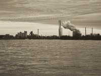 Industrie am Flussufer  Pentax K-1, SMC Pentax FA 1.9/43 Limited  - 17.12.2019 - : Landschaft, Fluss, Industrie, Hochwasser, Rhein, Rheinufer