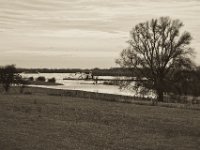 Schubschiff  Pentax K-1, SMC Pentax FA 1.9/43 Limited  - 17.12.2019 - : Landschaft, Fluss, Lastkahn, Rhein, Rheinwiesen, Rheindeich