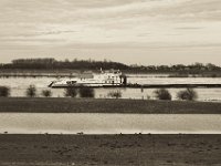 Gänse und Schubschiff  Pentax K-1, SMC Pentax FA 1.9/43 Limited  - 17.12.2019 - : Landschaft, Fluss, Lastkahn, Rhein, Rheinwiesen, Rheindeich