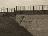 Hallo kleines Monster  Pentax K-1, SMC Pentax FA 1.9/43 Limited  - 17.12.2019 -