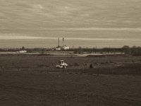 Rheinwiesen  Pentax K-1, SMC Pentax FA 1.9/43 Limited  - 17.12.2019 -
