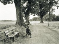 Fahrrad, Bank und Eichen  Fuji GW 690 III, Fuji Acros 100@64  - 19.07.2019 -