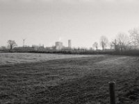 Frostiger Morgen, minus 4 Grad  Pentax MZ-S, SMC FA  1.8/31 Limited, Bergger Pancro 400@200  - 20.01.2019 -