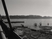 Der Rhein steigt  Pentax MZ-S, SMC FA  1.8/31 Limited, Bergger Pancro 400@200  - 20.01.2019 -