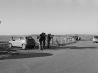 bird watcher  Pentax MZ-S, SMC FA  1.8/31 Limited, Bergger Pancro 400@200  - 20.01.2019 -