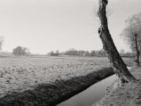 Grabenland  Pentax MZ-S, SMC FA  1.8/31 Limited, Bergger Pancro 400@200  - 20.01.2019 -