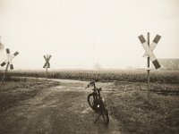 Bahnrelikt, tote Gleise  Pentax K-1, SMC Pentax -FA 1.8/31 AL Limited   - 25.12.2019 - : Landschaft, Winora, Felder, Fahrrad, Yakun Urban, Andreaskreuz, Niederrhein