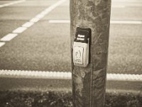 Druckstelle  Pentax K-1, SMC Pentax -FA 1.8/31 AL Limited   - 25.12.2019 - : Ampel, Niederrhein, Landschaft