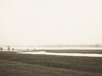 Überschwemmte Rheinwiesen  Pentax K-1, SMC Pentax -FA 1.8/31 AL Limited   - 25.12.2019 - : Landschaft, Rhein, Rheinwiesen, Niederrhein