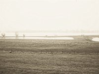 Wildgänse am Rhein  Pentax K-1, SMC Pentax -FA 1.8/31 AL Limited   - 25.12.2019 - : Landschaft, Niederrhein, Fluss, Rheinwiesen, Wildgänse