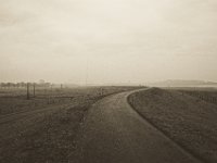 Auf dem Deich zur Rheinbrücke  Pentax K-1, SMC Pentax -FA 1.8/31 AL Limited   - 25.12.2019 - : Landschaft, Rhein, Rheinbrücke, Niederrhein, Rheindeich