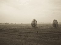 Rheinwiesen mit altem Eisenbahn - Viadukt  Pentax K-1, SMC Pentax -FA 1.8/31 AL Limited   - 25.12.2019 - : Landschaft, Niederrhein, Rheinwiesen, Viadukt