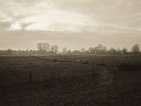Am Ende der Weiden ein Dorf  Pentax K-1, SMC Pentax -FA 1.8/31 AL Limited   - 25.12.2019 - : Landschaft, Niederrhein, Weide, Dorf