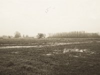 Feuchte Felder  Pentax K-1, SMC Pentax -FA 1.8/31 AL Limited   - 25.12.2019 - : Landschaft, Felder, Niederrhein, Wildgänse