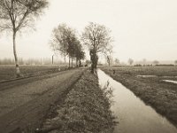 Straße mit Wassergraben  Pentax K-1, SMC Pentax -FA 1.8/31 AL Limited   - 25.12.2019 - : Landschaft, Graben, Straße, Niederrhein