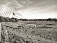 Auf dem Weg zur Rheinbrücke  Pentax 645N, SMC FA 2.8/45, Gelbfilter, Rollei RPX100@64 1