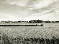 Lastkahn auf dem Rhein  Pentax 645N, SMC FA 2.8/45, Gelbfilter, Rollei RPX100@64  - 26.10.2019 -