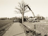 Verwaltungslogik - der kann auch noch weg  Pentax MZ-S, SMC FA  1.9/43 Limited, Ilford Delta 100@64  - 28.02.2019 -