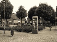 Bildungsschrank  Pentax Super A, SMC FA 1.8/31 Limited, Gelbfilter, Adox Silvermax 100@64 : Bücher, Marktplatz, Dorf, Bäume