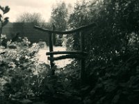 Mein  kleines Torii daheim  Pentax Super A, SMC FA 1.8/31 AL Limited. Gelbfilter, Bergger Pancro400@250