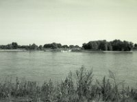 Gegenüber die Fahrrad-Rheinfähre  Fuji GW 690 III, Rollei RPX 100@64