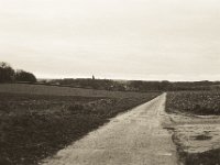 Der Kirchturm zwischen den Bäumen  Pentax MZ-S, SMC FA  1.9/43 Limited, Bergger Pancro400