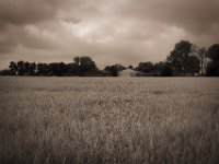 Feld und Silo  Pentax K-1, smc PENTAX-FA 31mm F1.8 AL Limited  - 03.07.2020 - : Landschaft, Feld, Bäume, Getreidefeld, Bauernhof