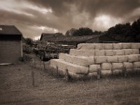 Bauernhof hinterm Rheindeich  Pentax K-1, smc PENTAX-FA 31mm F1.8 AL Limited  - 03.07.2020 - : Trecker, Bauernhof, Landschaft