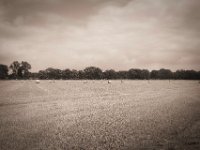 Strohrollen  Pentax K-1, smc PENTAX-FA 31mm F1.8 AL Limited  - 03.07.2020 - : Landschaft, Feld, Strohballen, Wald
