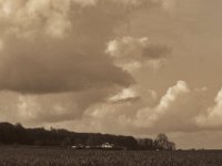 Haus am Wald  unter Wolken  Pentax K-1, HD Pentax D-FA* 2.8/70-200 ED DC AW  - 04.03.2020 -