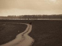 Auf dem Weg  Pentax K-1, HD Pentax D-FA* 2.8/70-200 ED DC AW  - 04.03.2020 -