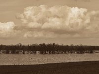 Hochwasser  Pentax K-1, HD Pentax D-FA* 2.8/70-200 ED DC AW  - 04.03.2020 -