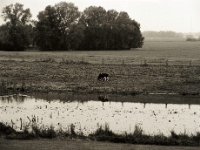 Spiegelung  Pentax 645N, SMC FA 2.8/150, Bergger Pancro400