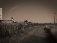 Windräder, Felder und Salzbergwerk  Pentax K-1, smc Pentax FA 1.9/43 Limited  - 06.08.2020 - : Landschaft, Feldweg, Windräder, Salzbergwerk, Maisfeld