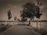 Alleenradweg  Pentax K-1, smc Pentax FA 1.9/43 Limited  - 06.08.2020 -