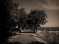 Allenradweg  Pentax K-1, smc Pentax FA 1.9/43 Limited  - 06.08.2020 -