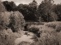 Brücke an der "Hohe Ley"  Pentax K-1, smc Pentax FA 1.9/43 Limited  - 06.08.2020 -