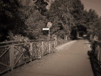 Brücke "Hohe Ley"  Pentax K-1, smc Pentax FA 1.9/43 Limited  - 06.08.2020 -