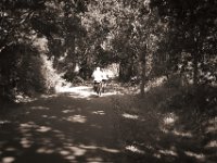 Licht und Schatten auf dem Alleenradweg  Pentax K-1, smc Pentax FA 1.9/43 Limited  - 06.08.2020 -
