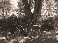 Mein Rad macht Pause  Pentax K-1, smc Pentax FA 1.9/43 Limited  - 06.08.2020 -